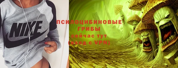 ГАЛЛЮЦИНОГЕННЫЕ ГРИБЫ Арсеньев