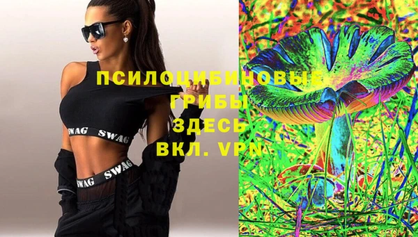 ГАЛЛЮЦИНОГЕННЫЕ ГРИБЫ Арсеньев