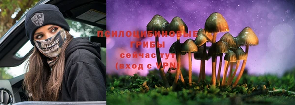 гидропоника Аркадак