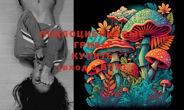 ГАЛЛЮЦИНОГЕННЫЕ ГРИБЫ Арсеньев